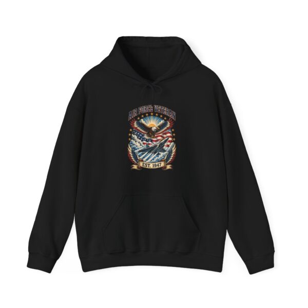 Air Force Veteran Eagle & Jet Hoodie, Black
